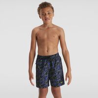 Speedo Boys Blueatomic Lime Printed 15" Watershort - Boys Swim Shorts