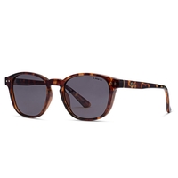 Liive Vision Sunglasses - Phoenix Demi - Tort - Live Sunglasses