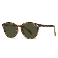 Liive Vision Sunglasses - Berawa Polar Matt Tort - Live Sunglasses